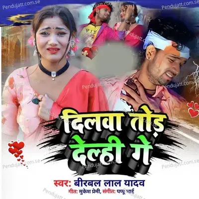 Dilwa Torhi Delhi Ge - Birbal Lal Yadav album cover 
