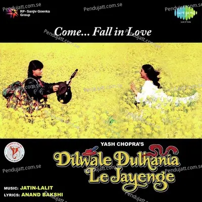 Dilwale Dulhania Le Jayenge - Shah Rukh Khan album cover 