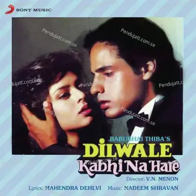 Dono Ke Husn Mein - Nadeem Shravan album cover 