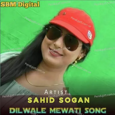 Dilwale Mewati Song - Sahid Sogan album cover 