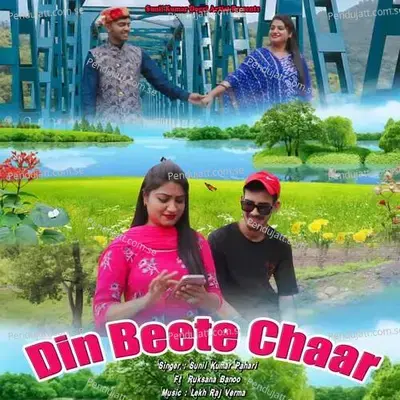 Din Beete Chaar - Sunil Kumar Pahari album cover 