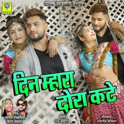 Din Mhara Dora Kate - Salim Shekhawas album cover 