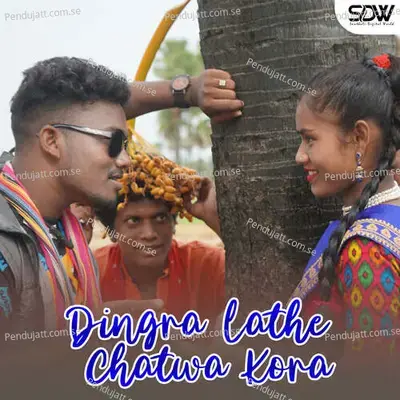 Dingra Lathe Chatwa Kora - Dhani Marandi album cover 