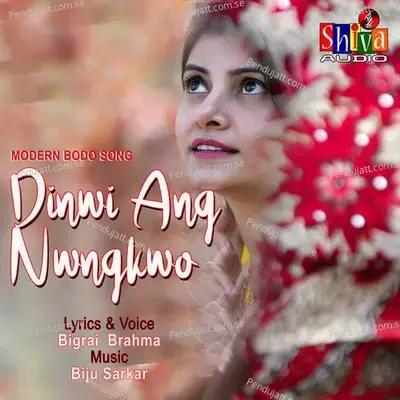 Dinwi Ang Nwngkwo - Bigrai Brahma album cover 
