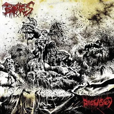 Diseased - Bones cover album