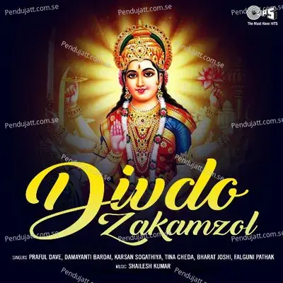 Divdo Zakamzol  Pt  2 - Praful Dave album cover 