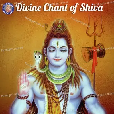 Divin Chant Of Shiva - Various Artists cover album
