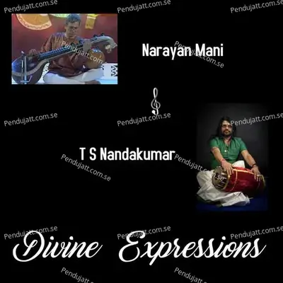 Divine Expressions - T S Nandakumar album cover 