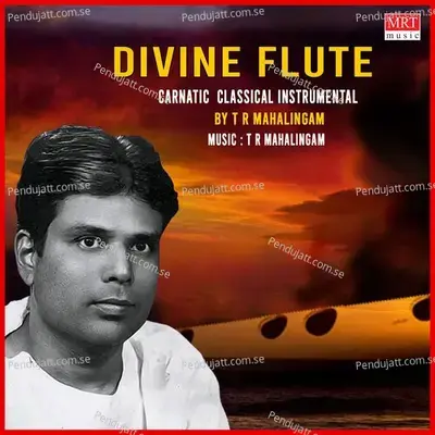 Manaviyalakinchara - Nalinakanti album cover 