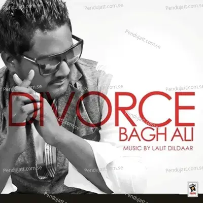 Wasde Ujadeya - Bagh Ali album cover 