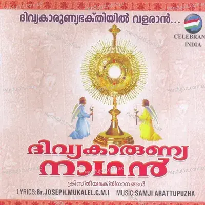 Nalloru Karshakan - Kishore Varma album cover 