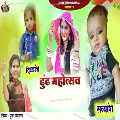 Divyansh Savyansh Dhundh Mahotsav - Pooja Borana album cover 