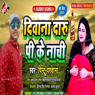 Diwana Daru Pike Nachi - Pintu Parwana album cover 