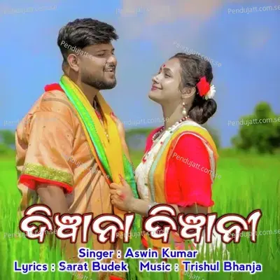 Diwana Diwani - Aswin Kumar album cover 