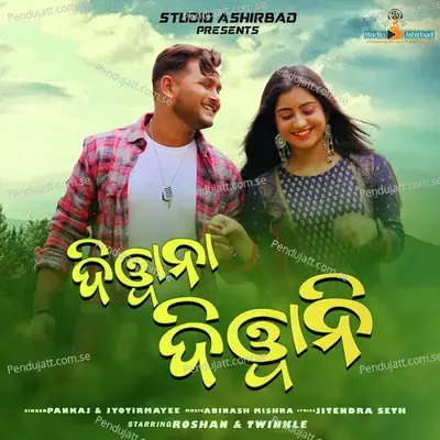 Diwana Diwani - JP Pankaj album cover 