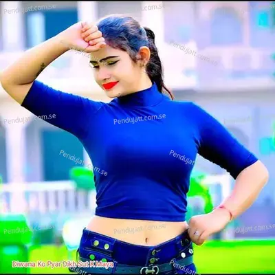 Diwana Ko Pyar Dikh Sut K Maya - Vicky Meena Ramsinghpura album cover 