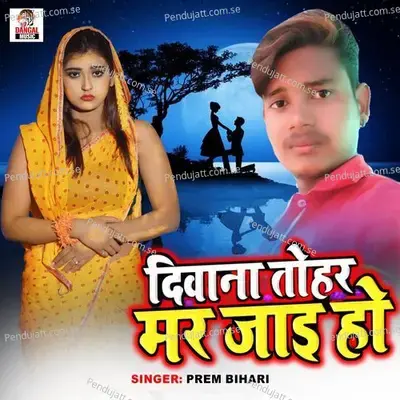 Diwana Tohar Mar Jaai Ho - Prem Bihari album cover 