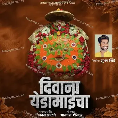 Diwana Yedamaaycha - Vikas Salve album cover 