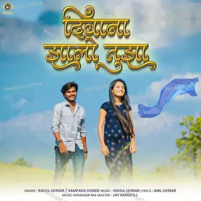 Diwana Zalo Tuza - Rahul Lehnar album cover 