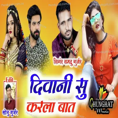 Diwani Su Karla Bat - Samdu Gurjar album cover 