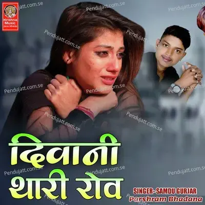 Diwani Thari Rov - Parshram Bhadana album cover 