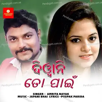 Diwani To Pain - Amrita Nayak album cover 