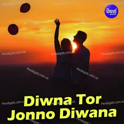 Diwna Tor Jonno Diwana - Shankar Bhattacharjee album cover 