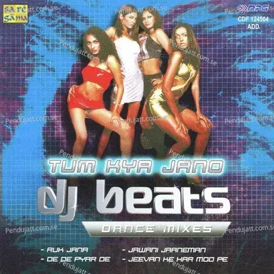 Tum Kya Jano Mohabbat Kya Hai mp3 song