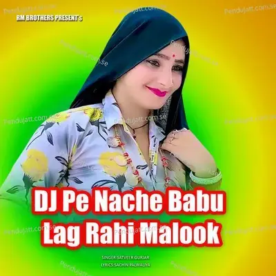 Dj Pe Nache Babu Lag Rahi Malook - Satveer Gurjar album cover 