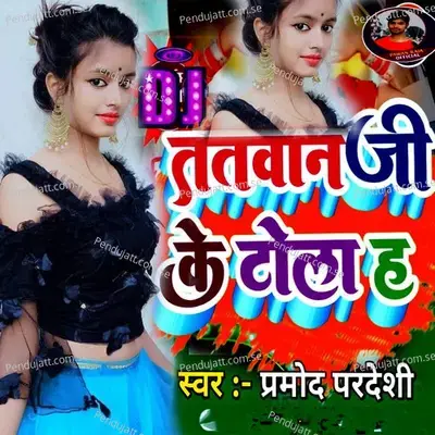 Dj Tatwan Ji Ke Tola Ha - Bhai Pawan Raja album cover 