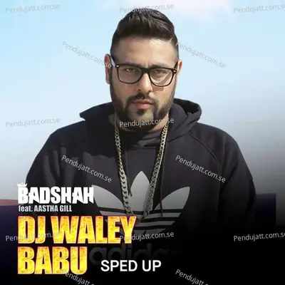 Dj Waley Babu - Badshah album cover 