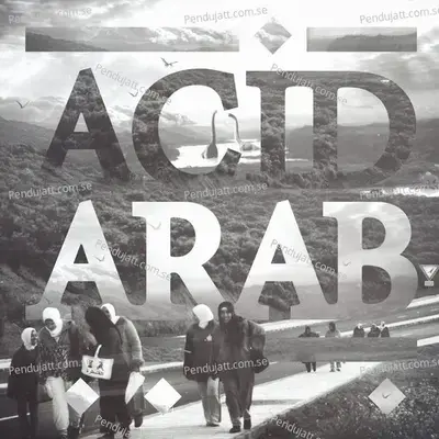 Amal - Acid Arab album cover 