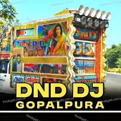 Dnd Dj Gopalpura - DJ Ramphool album cover 