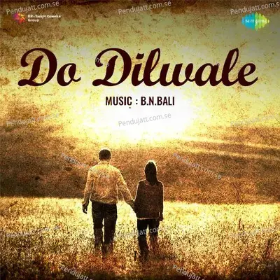 Ae Vatan Dildaram - Jani Babu Qawwal Qawwal album cover 