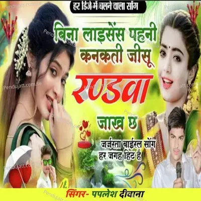 Do Do Ghanta Busy Chale - Paplesh deewana album cover 