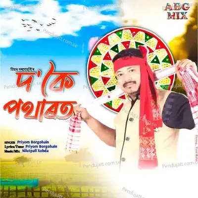 Do Koi Potharot - Priyom Borgohain album cover 