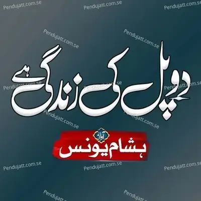 Do Pal Ki Zindagi Hai - Hisham Younus album cover 