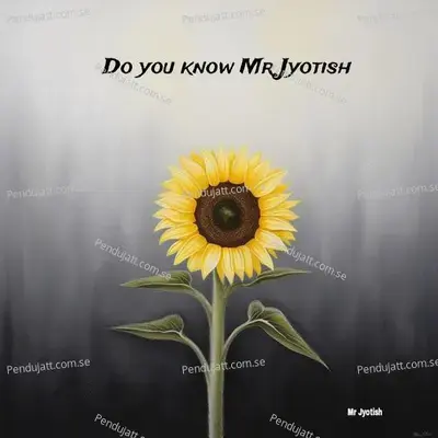 Do You Know - Mr Jyotish album cover 