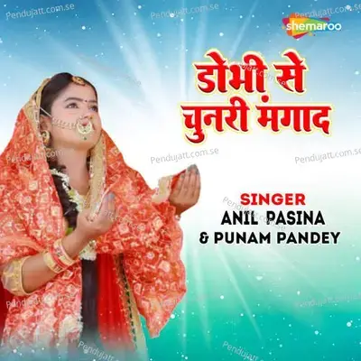 Dobhi Se Chunri Mangad - Anil Pasina album cover 