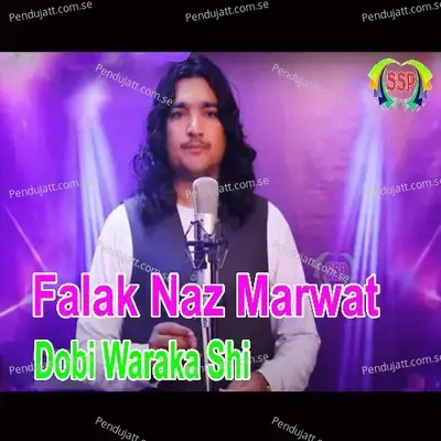 Dobi Waraka Shi - Falak Naz Marwat cover album