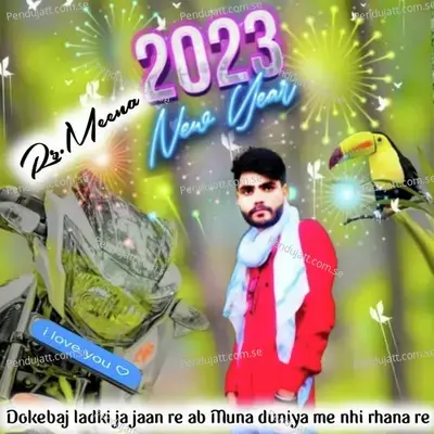 Dokebaj Ladki Ja Jaan Re Ab Muna Duniya Me Nhi Rhana Re - Veersingh Bhanota album cover 