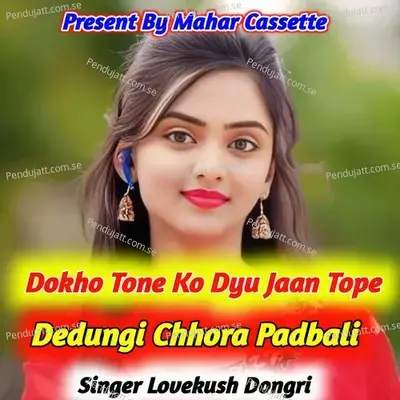 Dokho Tone Ko Dyu Jaan Tope Dedungi Chhora Padlikh - Lovekush Dungri album cover 