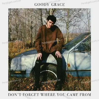 Nothing Good - Goody Grace album cover 