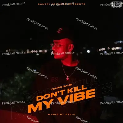 Don  039 T Kill My Vibe - Young Galib album cover 