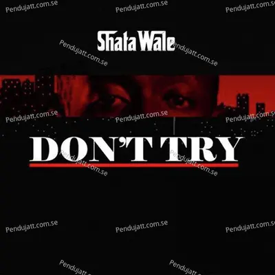 Don  039 T Try - Shatta Wale album cover 