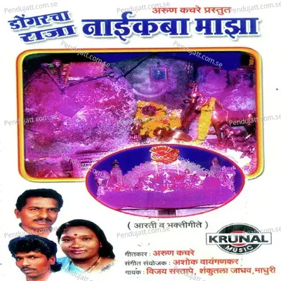 Dongaracha Raja Naikaba Maza - Various Artists cover album