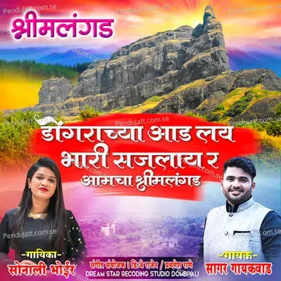 Dongrachya Aad Lay Bhari Sajlay R Amcha Shreemalangad - Sonali Bhoir album cover 