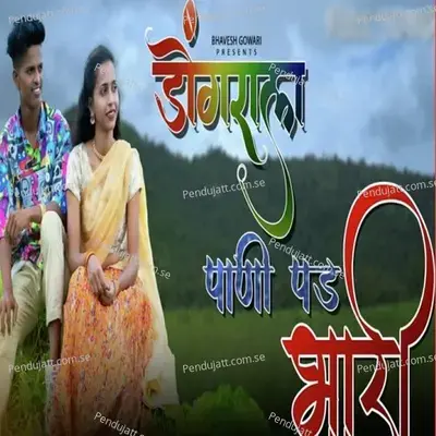 Dongrala Pani Pad Bhari - Jagdish Patil album cover 