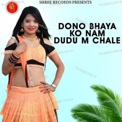 Dono Bhaya Ko Nam Dudu M Chale - Ashok Prajapat album cover 