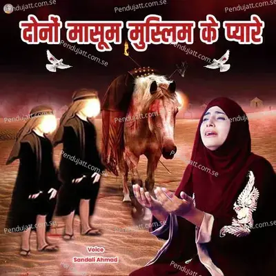 Dono Masoom Muslim Ke Pyare - Sandali Ahmad album cover 